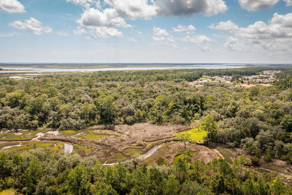0 Pine Island Road St. Augustine, FL 32095 - Photo 4 of 39 Bird's eye view of a nearby body of water