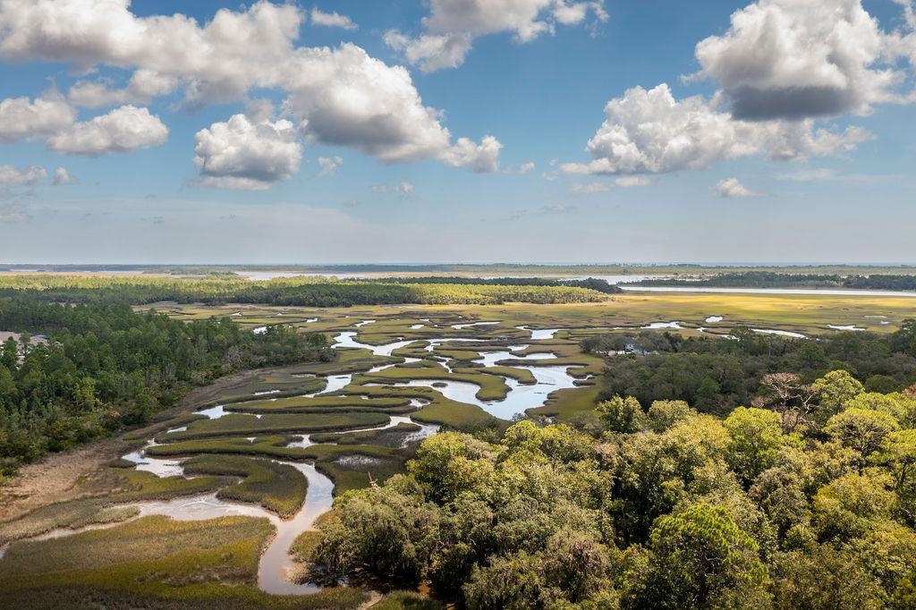 0 Pine Island Road St. Augustine, FL 32095 - Photo 5 of 39 Drone / aerial view of a nearby body of water and a forest