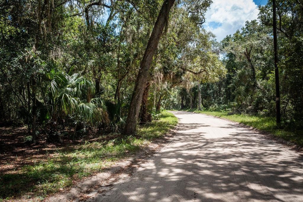 0 Pine Island Road St. Augustine, FL 32095 - Photo 9 of 39 View of street with a forest view