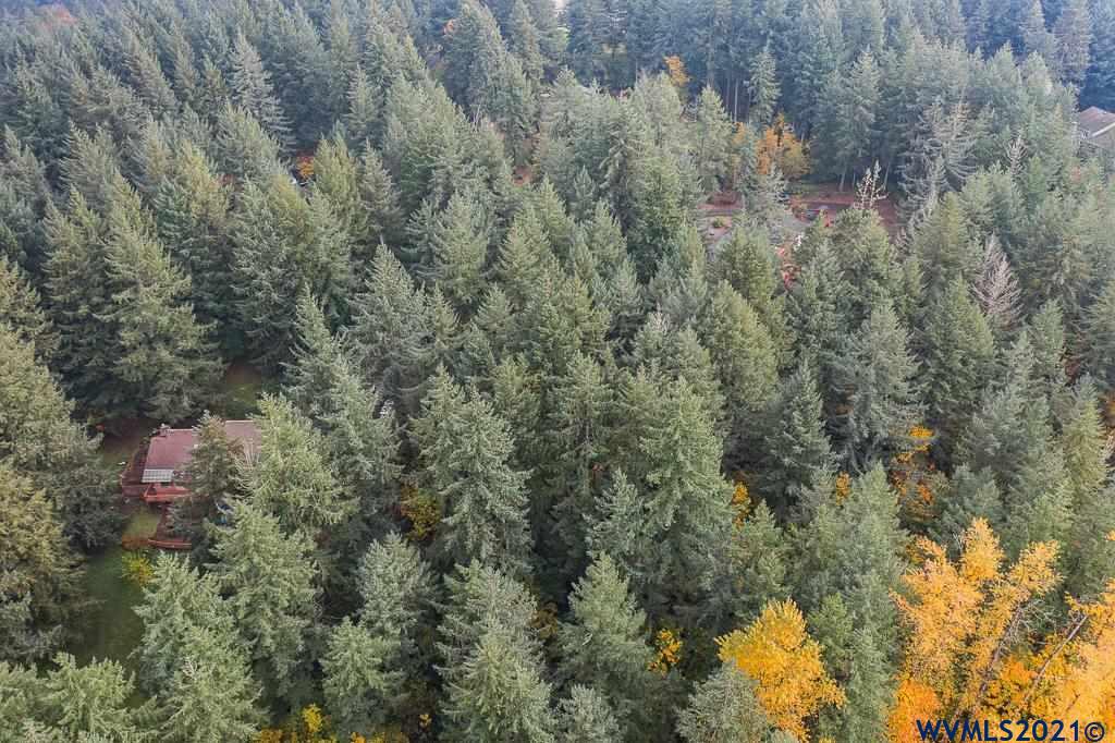 Bramblewood Lane Albany, OR 97321 - Photo 17 of 34