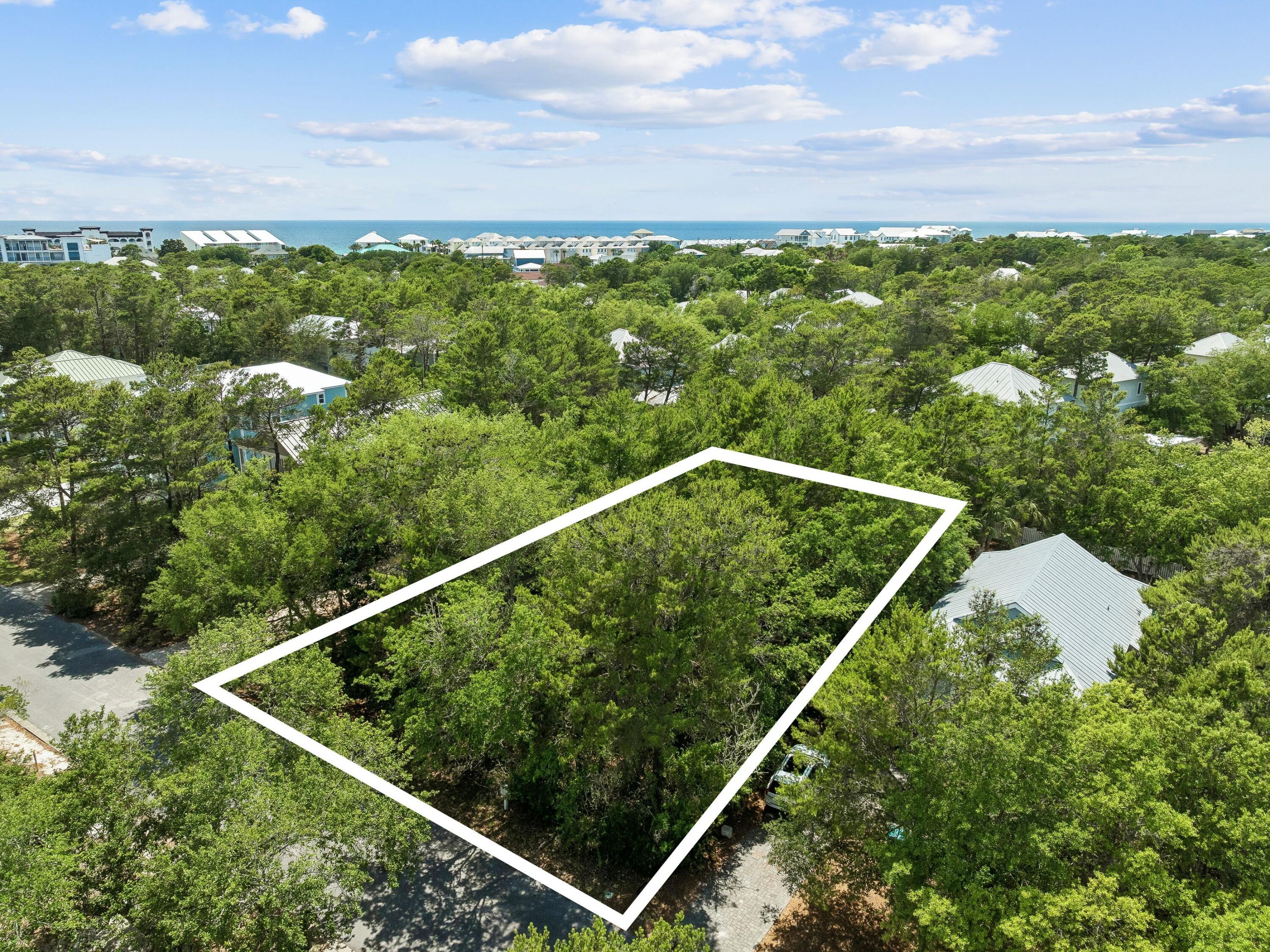 255 Clareon Drive Inlet Beach, FL 32461 - Photo 4 of 6 photo_online_003