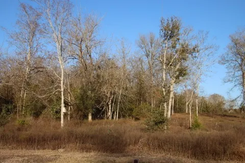 $249,500 | 22 Chappell Reserve Drive, Washington, TX 77880