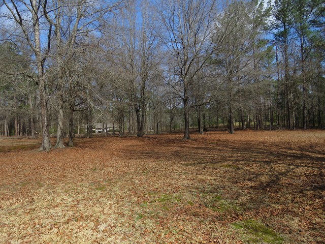 110 Woodland Road Gray, GA 31032 - Photo 17 of 18 Additional Photo