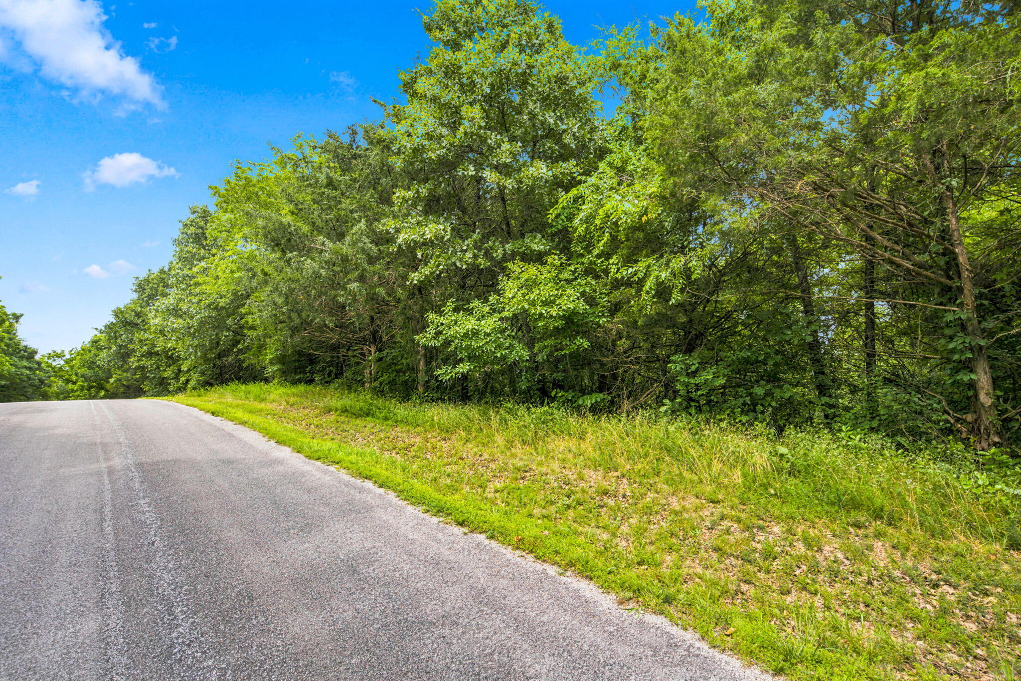 Lot 12 Kingsgate Road Lampe, MO 65681 - Photo 28 of 33 1-web-or-mls-DSC05786