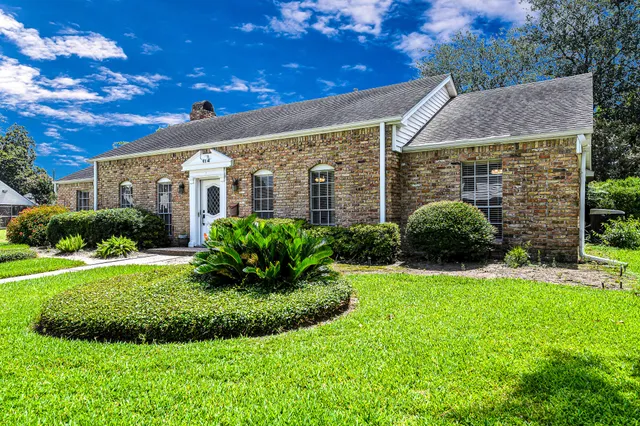 a view of backyard with potted plants and a large tree
