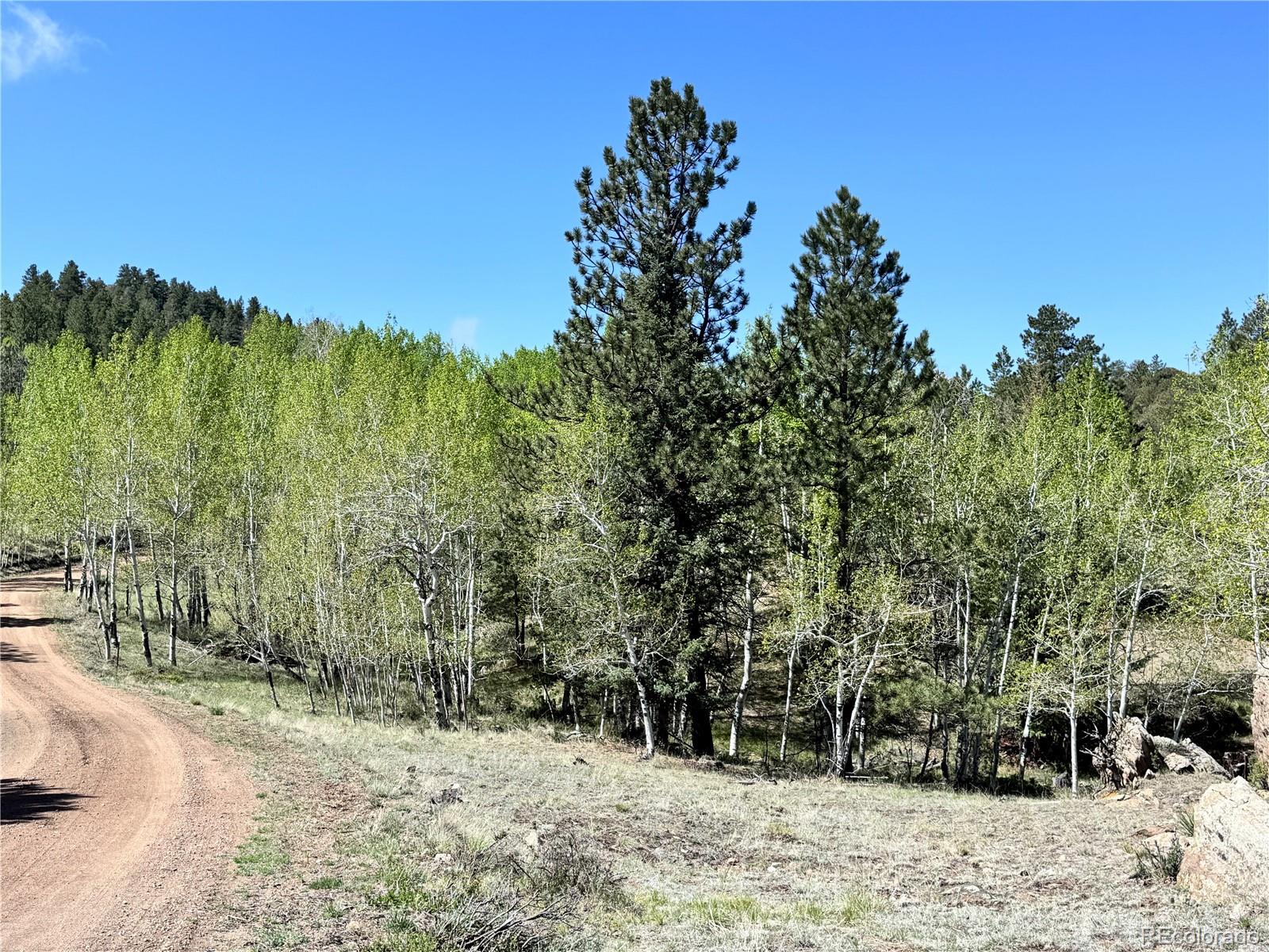 Dilley Road Westcliffe, CO 81252 - Photo 8 of 16