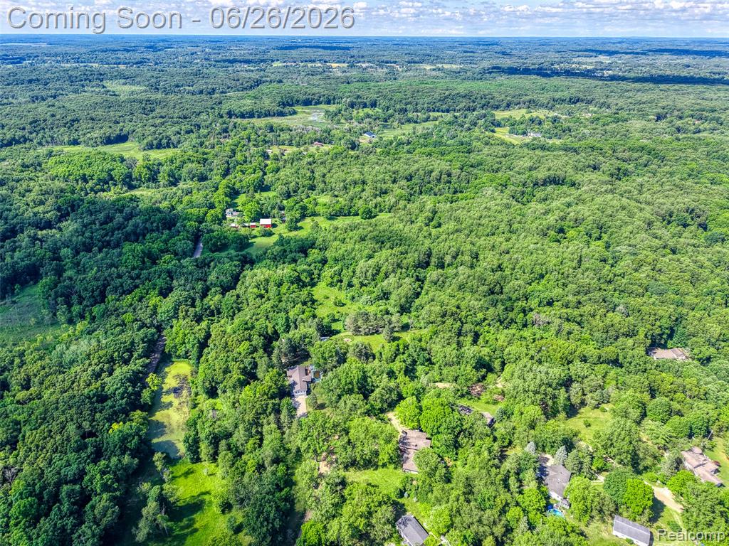 4200 Angels Pass Pinckney, MI 48169 - Photo 50 of 76