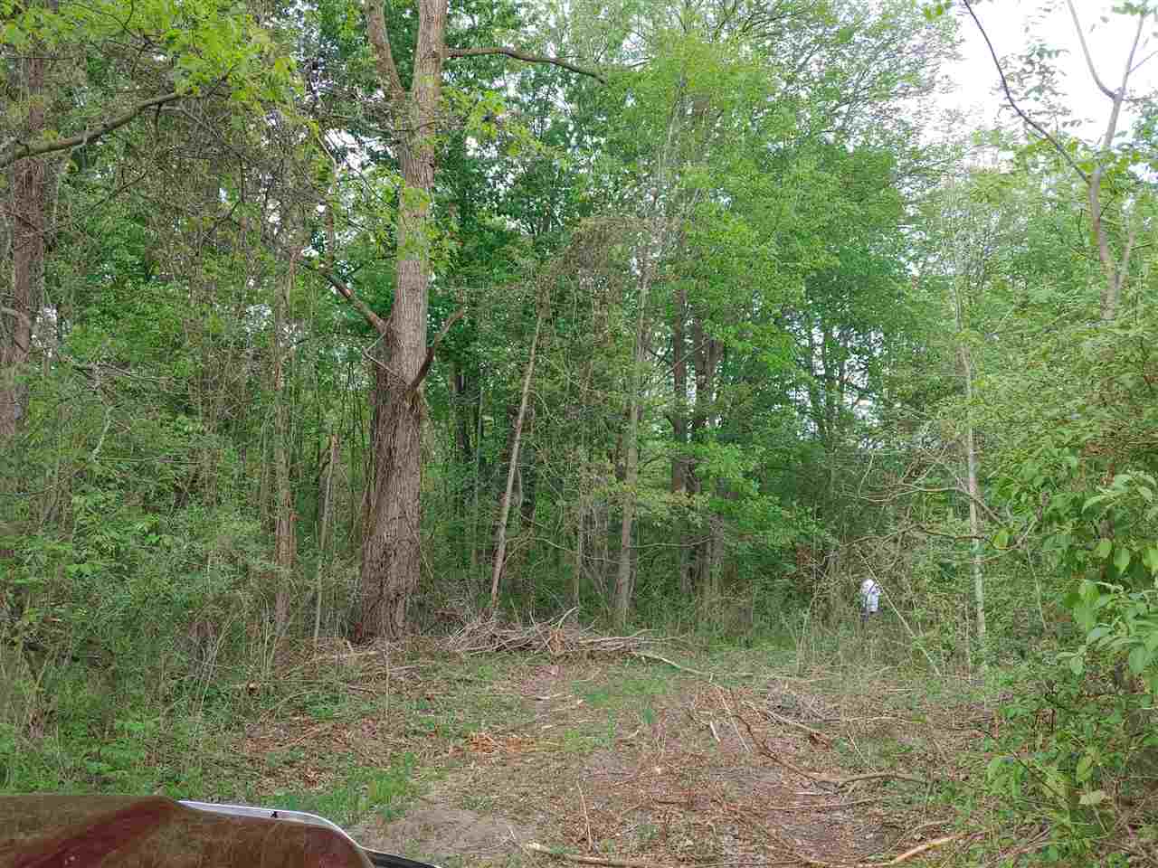 Parcel C South Isabella Road Shepherd, MI 48883 - Photo 6 of 7
