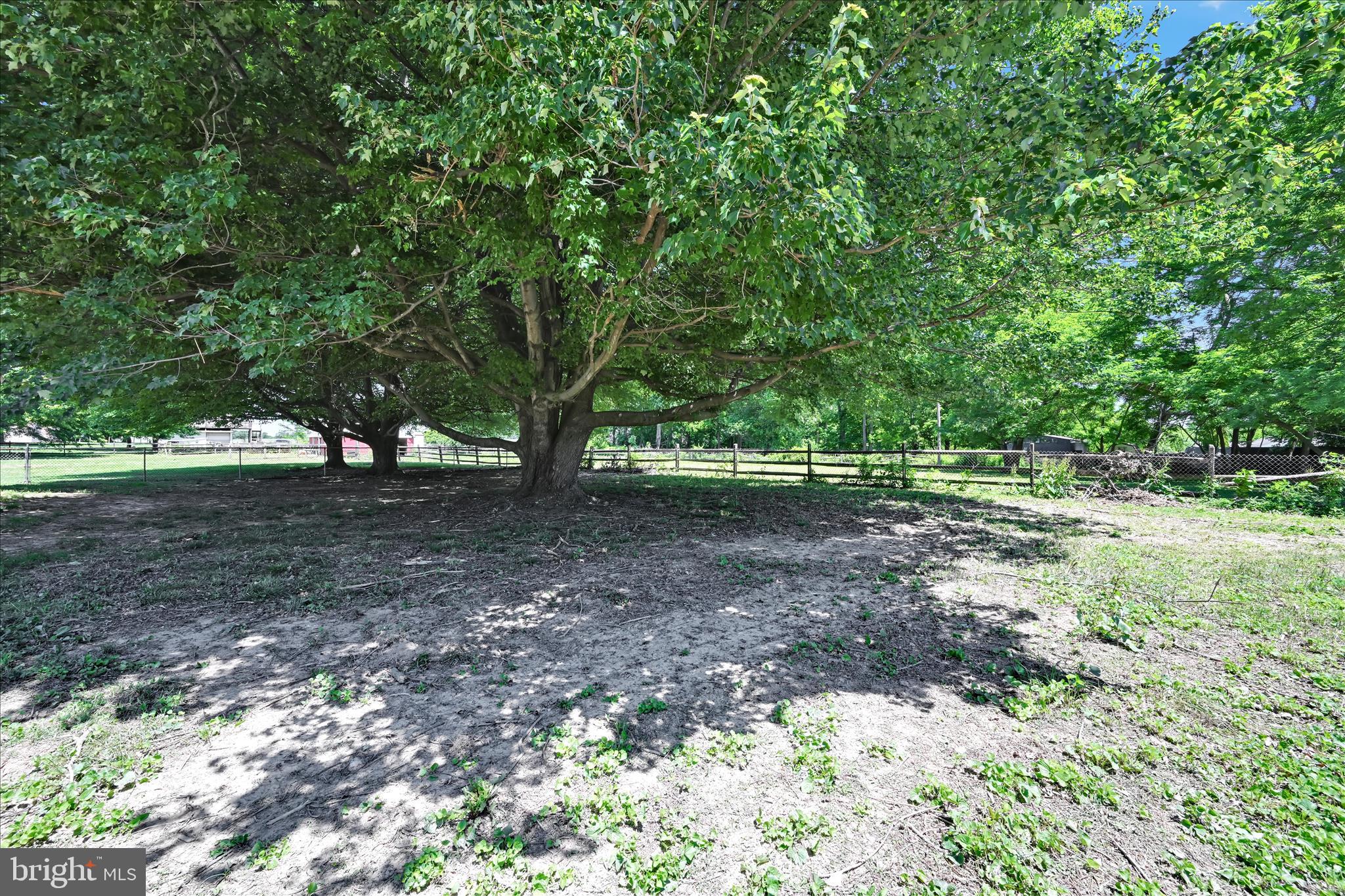 135 Grubbs Corner Road Peach Bottom, PA 17563 - Photo 34 of 50 Backyard
