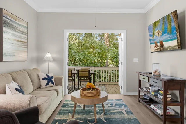 a close up of a plant in a garden