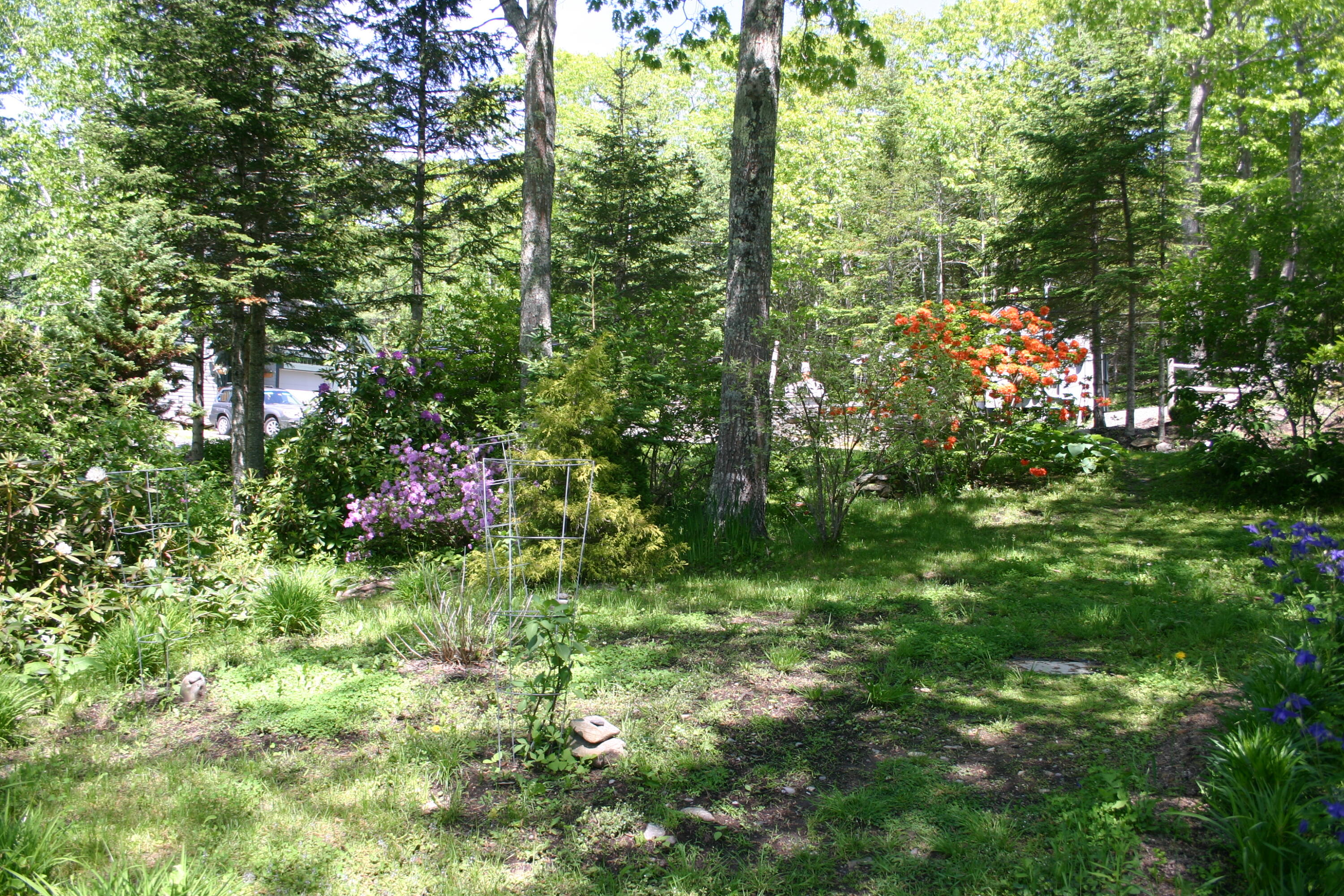 36 Granite Hill Road Pemaquid, ME 04558 - Photo 90 of 134 IMG_0435