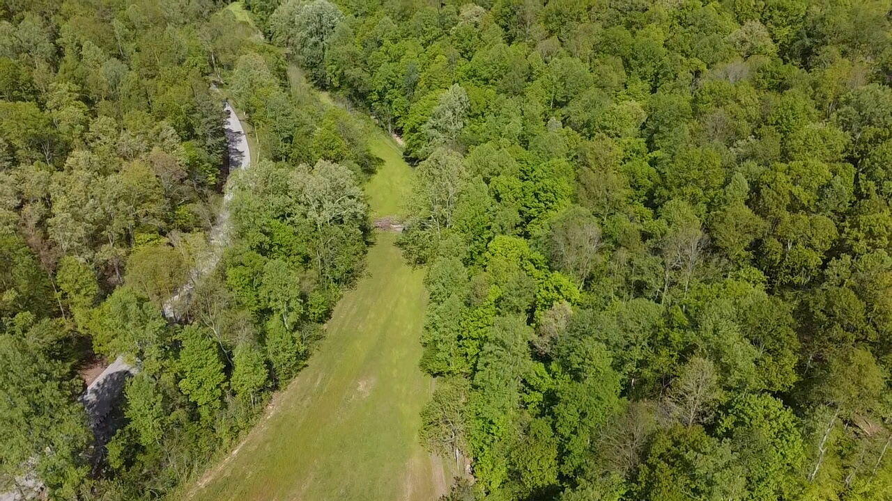 3456 Sand Springs Road Mount Vernon, KY 40456 - Photo 3 of 14 1000001909