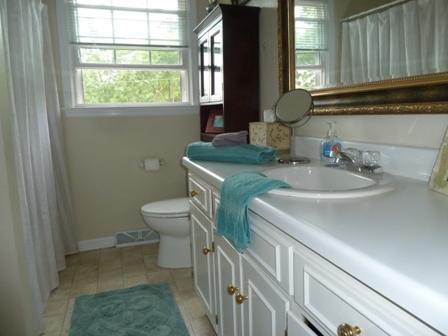 6588 Old Farm Road Roanoke, VA 24018 - Photo 17 of 34 18 Hall Bath