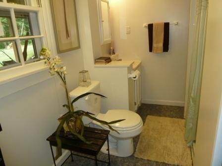 6588 Old Farm Road Roanoke, VA 24018 - Photo 21 of 34 22 Lower Level Bath