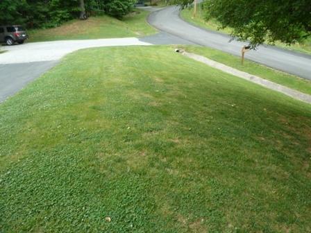 6588 Old Farm Road Roanoke, VA 24018 - Photo 33 of 34 34 Front Yard