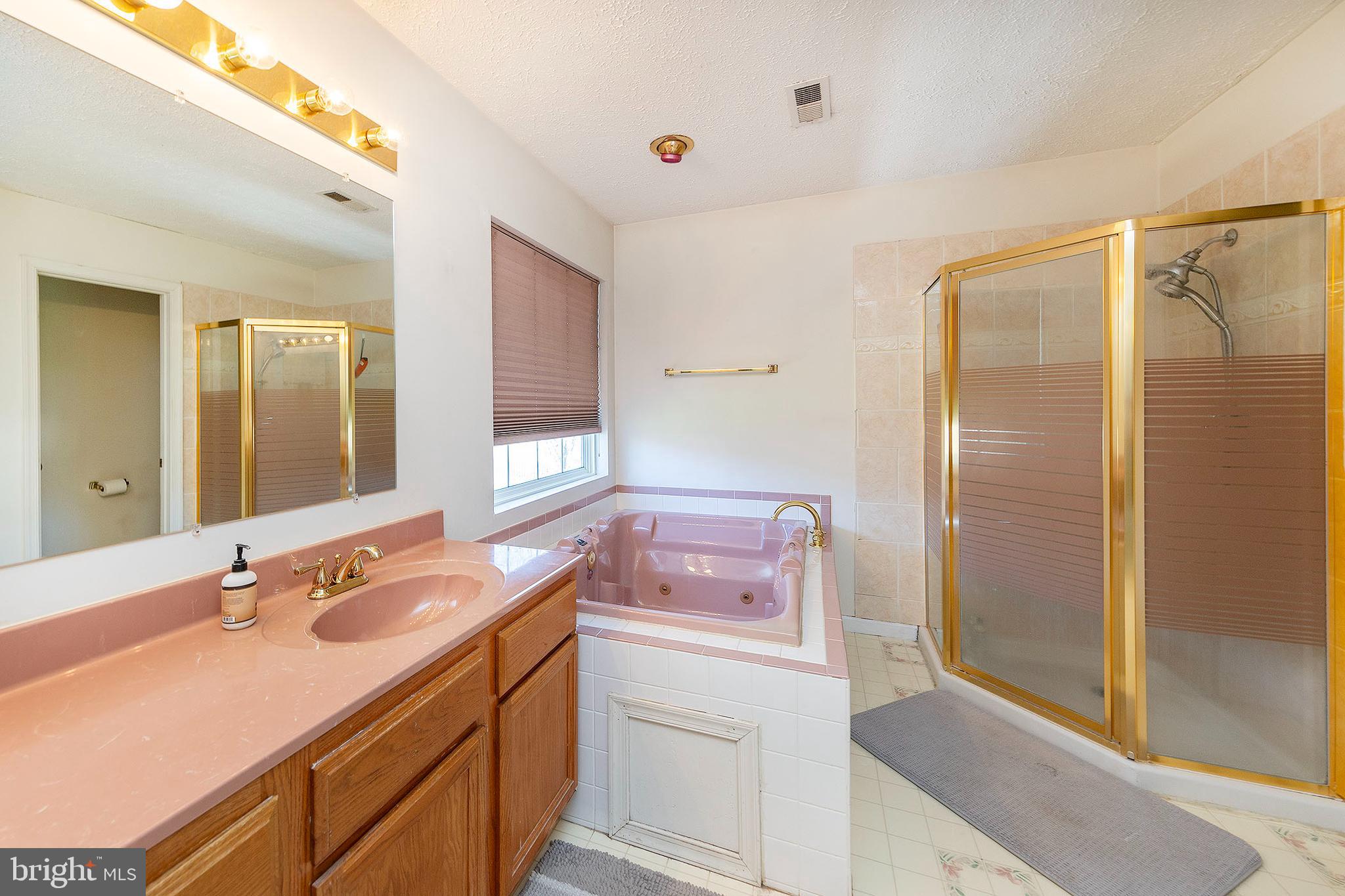119 Rte 1288 Winchester, VA 22602 - Photo 23 of 39 Primary bathroom with jacuzzi style jet tub