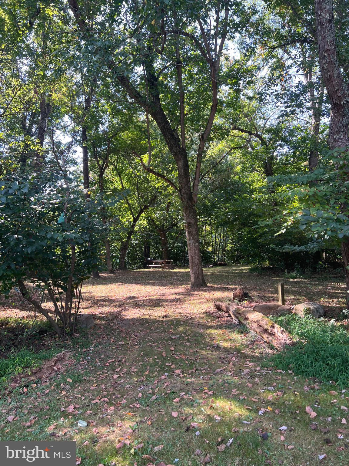 Lot 4 Steamboat Run Road Shepherdstown, WV 25443 - Photo 16 of 29 a view of a yard with a tree