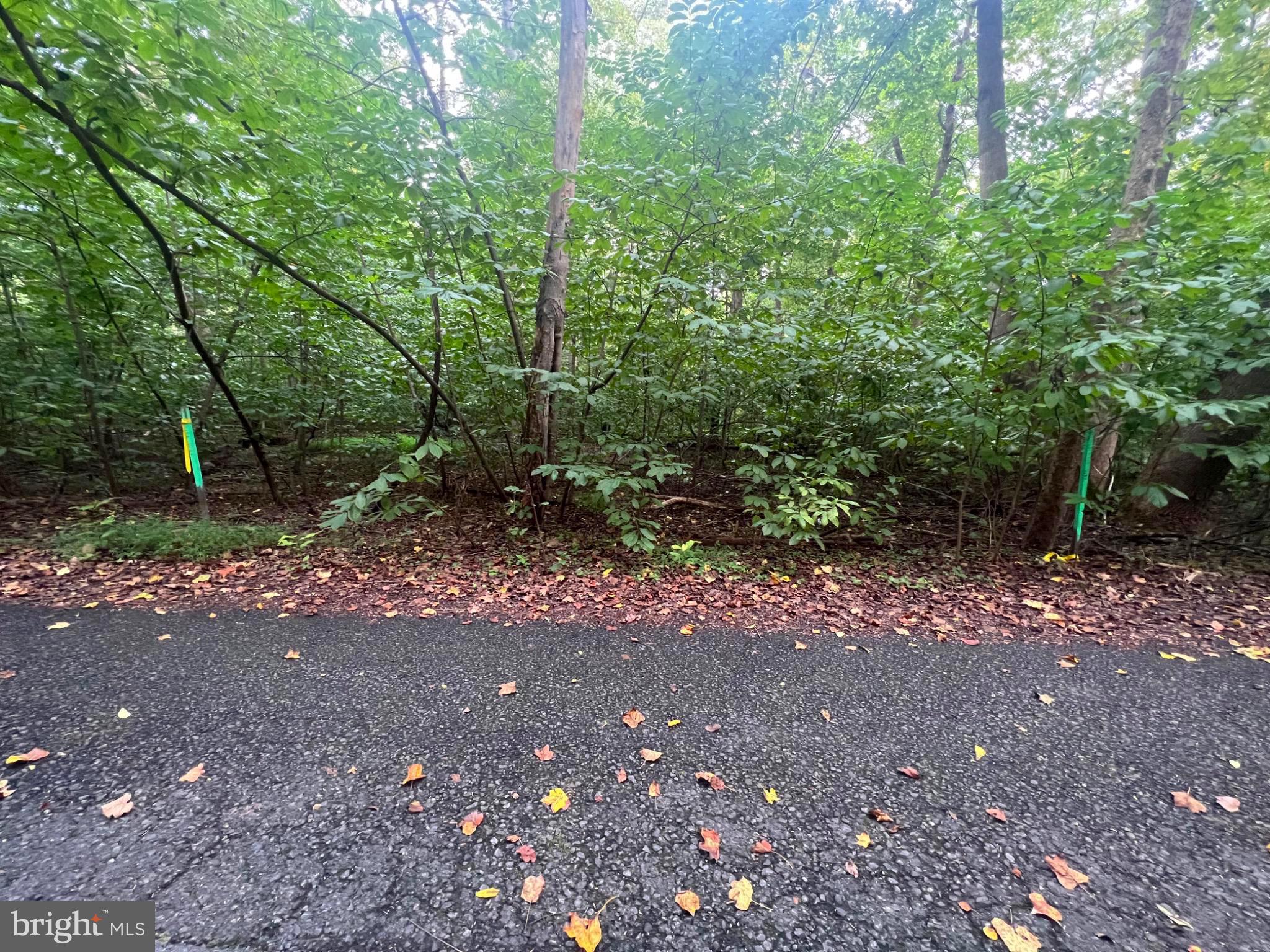 Lot 4 Steamboat Run Road Shepherdstown, WV 25443 - Photo 25 of 29 a view of a forest with trees