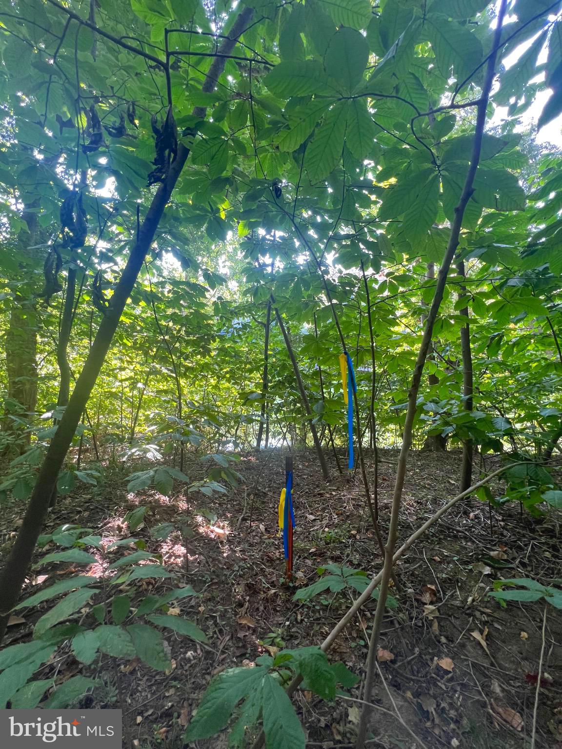 Lot 4 Steamboat Run Road Shepherdstown, WV 25443 - Photo 29 of 29 a backyard of a house with lots of green space