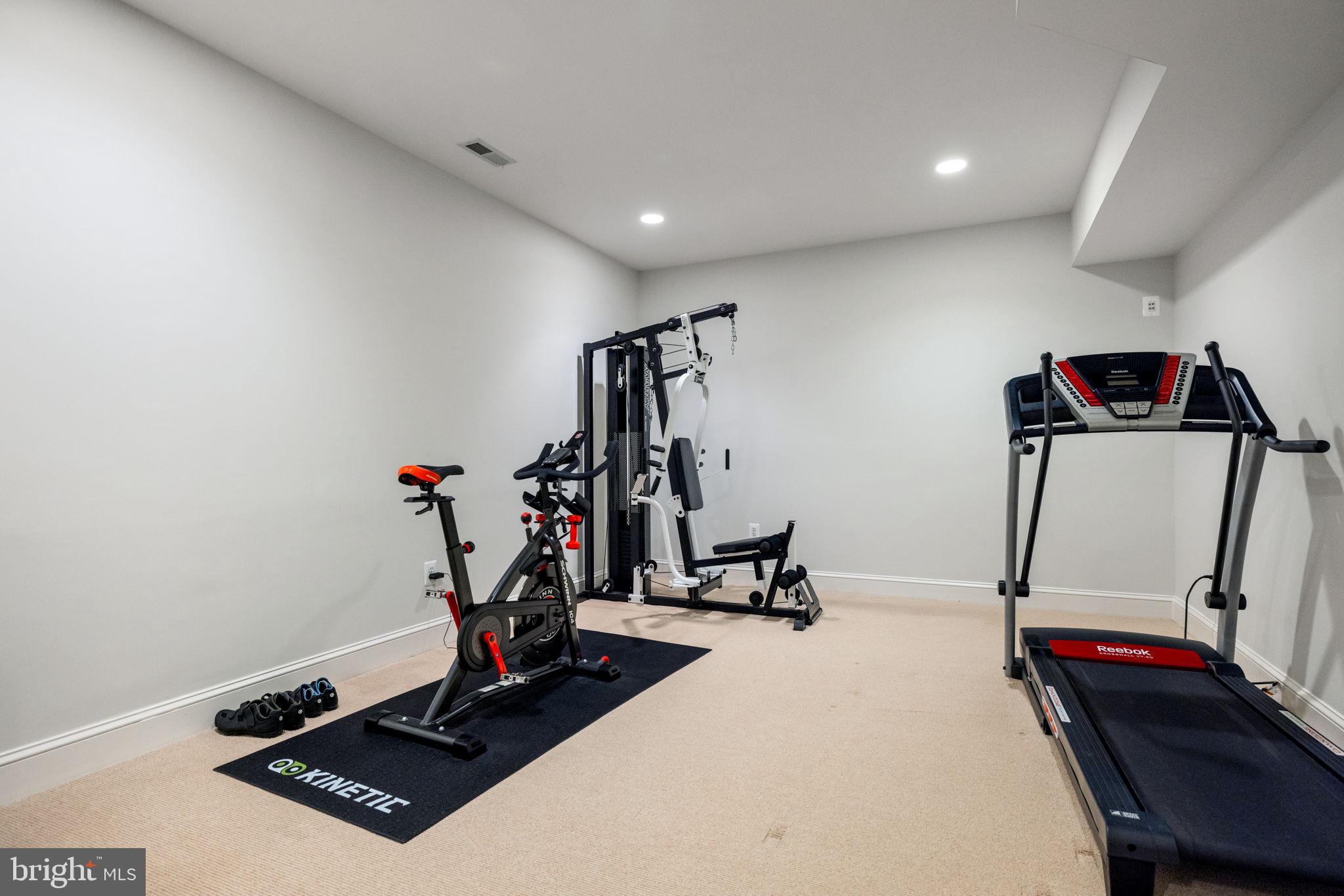 41741 Raspberry Drive Leesburg, VA 20176 - Photo 103 of 117 Workout room
