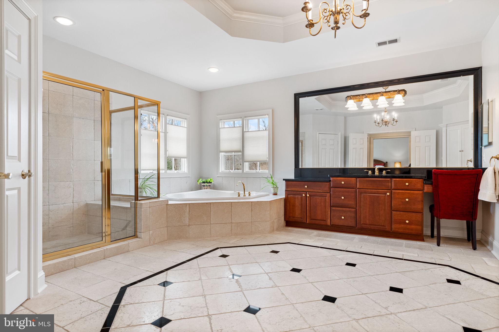 41741 Raspberry Drive Leesburg, VA 20176 - Photo 75 of 117 Primary bathroom