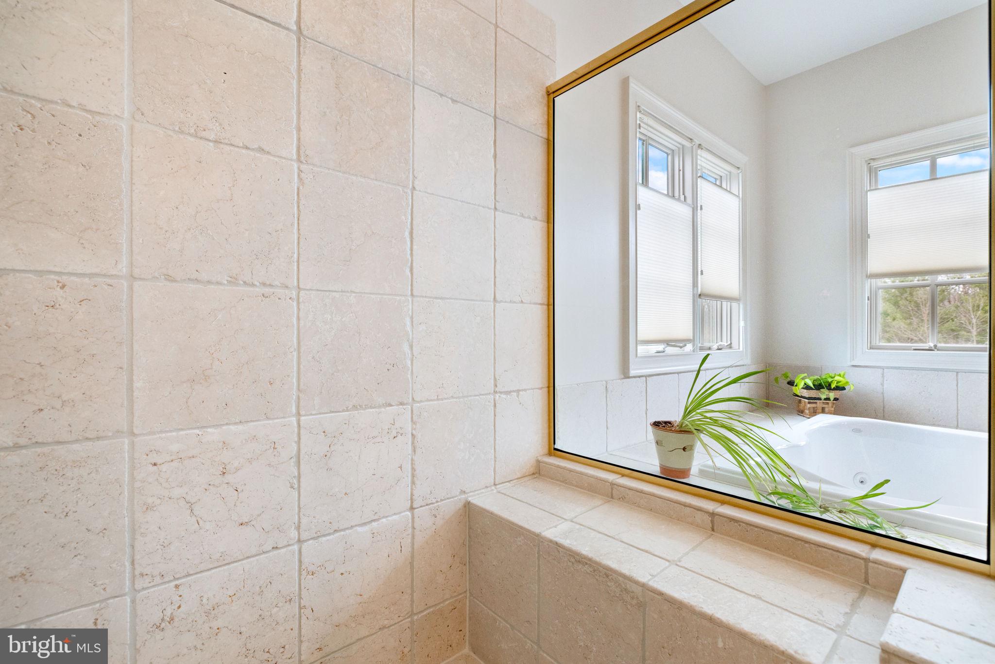 41741 Raspberry Drive Leesburg, VA 20176 - Photo 78 of 117 Pristine tile