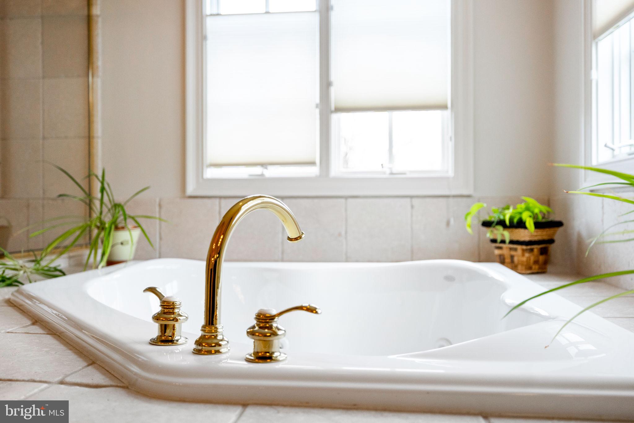 41741 Raspberry Drive Leesburg, VA 20176 - Photo 79 of 117