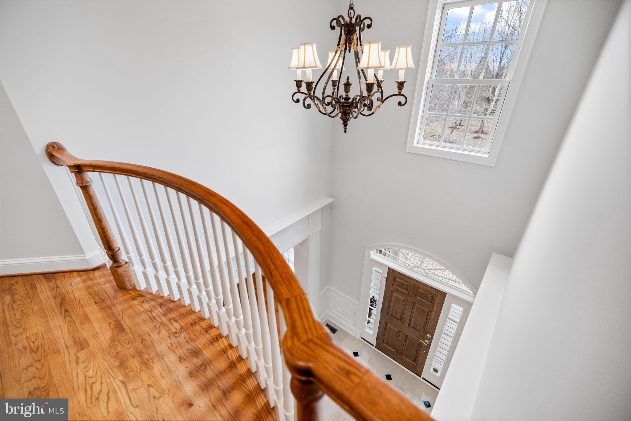 41741 Raspberry Drive Leesburg, VA 20176 - Photo 100 of 117 A view of the foyer