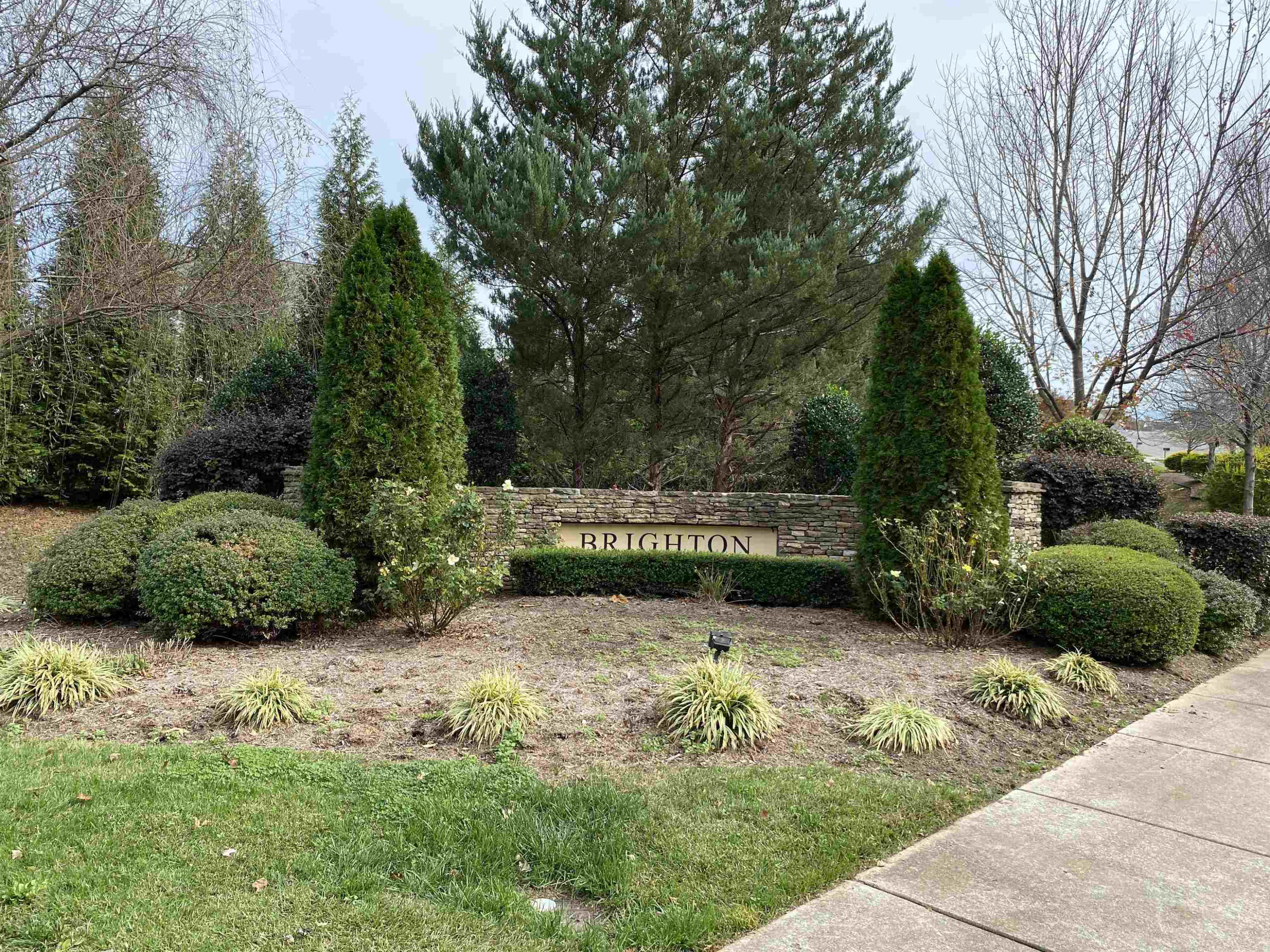 8170 Cohosh Court Raleigh, NC 27616 - Photo 24 of 24 Photo 24
