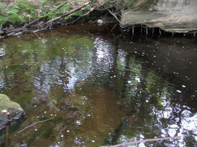 Lot P/o Railroad Bed Road Buckfield, ME 04220 - Photo 4 of 8 Photo