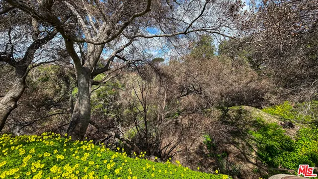 a view of gym equipment
