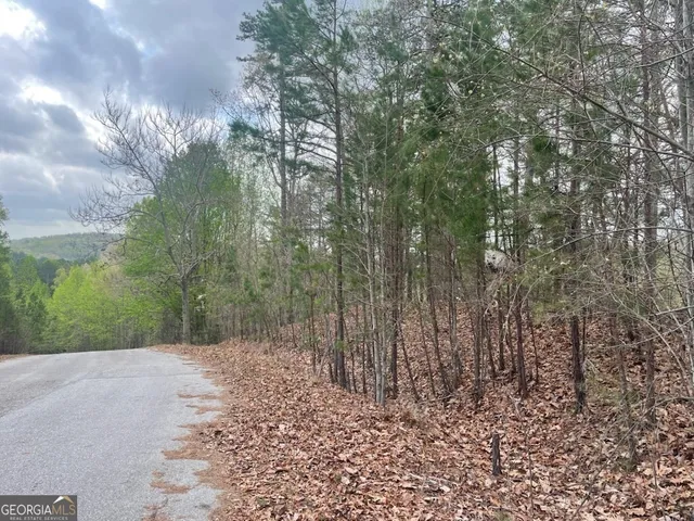 a view of outdoor space