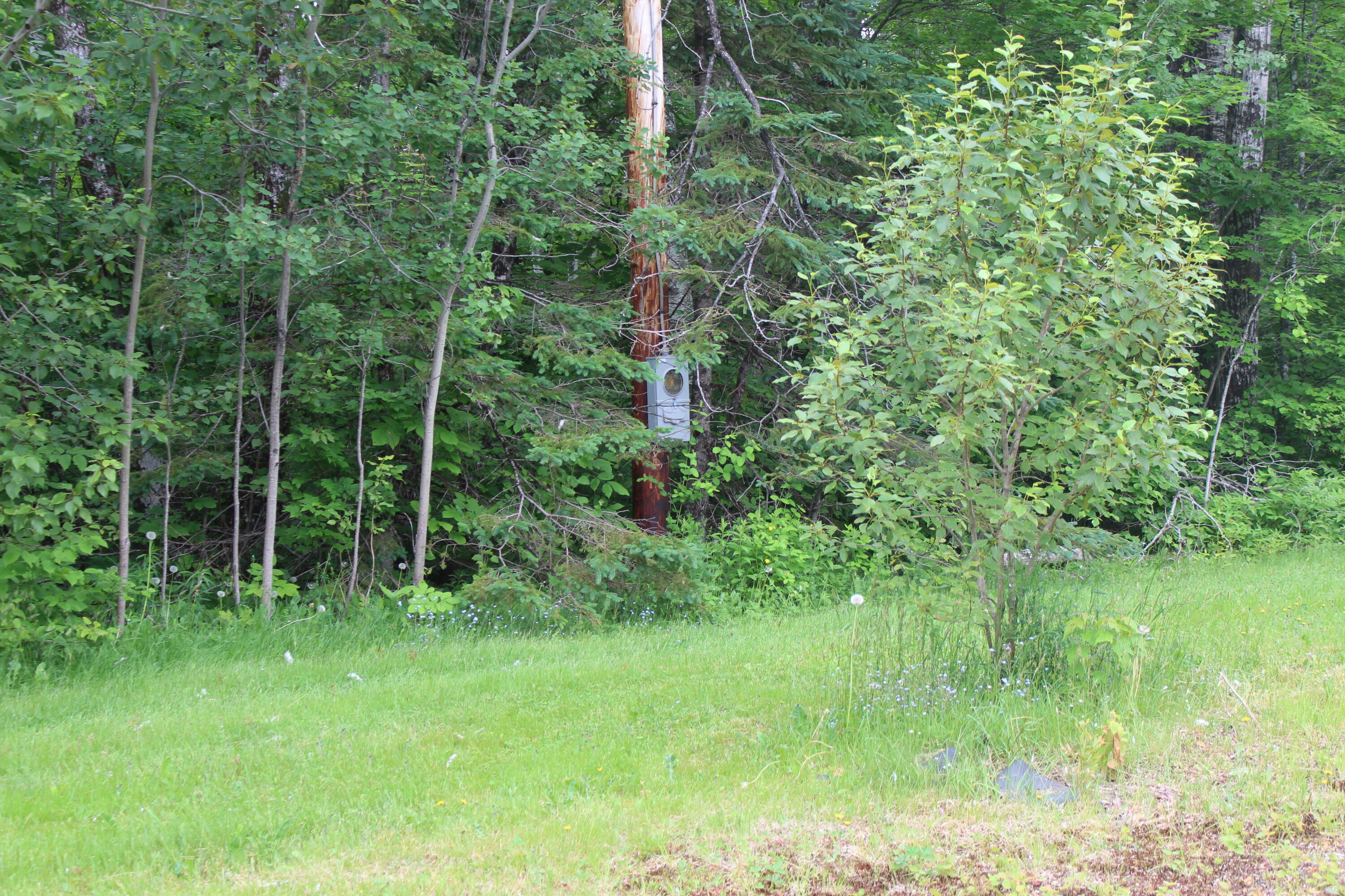 1100 Shin Pond Road Mount Chase, ME 04765 - Photo 20 of 24 IMG_6868