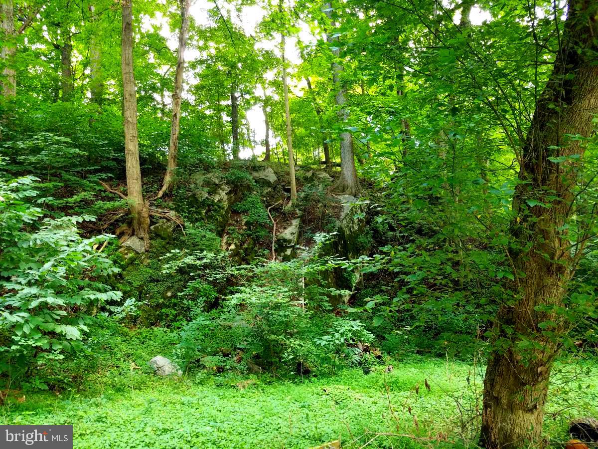 Scrabble Road Shepherdstown, WV 25443 - Photo 9 of 19 Cliffs