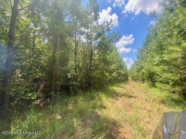 Archie Boyd Road Jayess, MS 39641 - Photo 3 of 27 IMG_6565