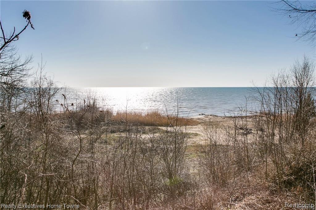 7150 Lakeshore Road Palms, MI 48465 - Photo 6 of 31