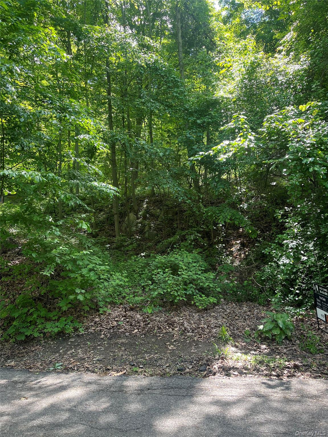 Old Church Road Putnam Valley, NY 10579 - Photo 25 of 26 a view of a yard with a trees