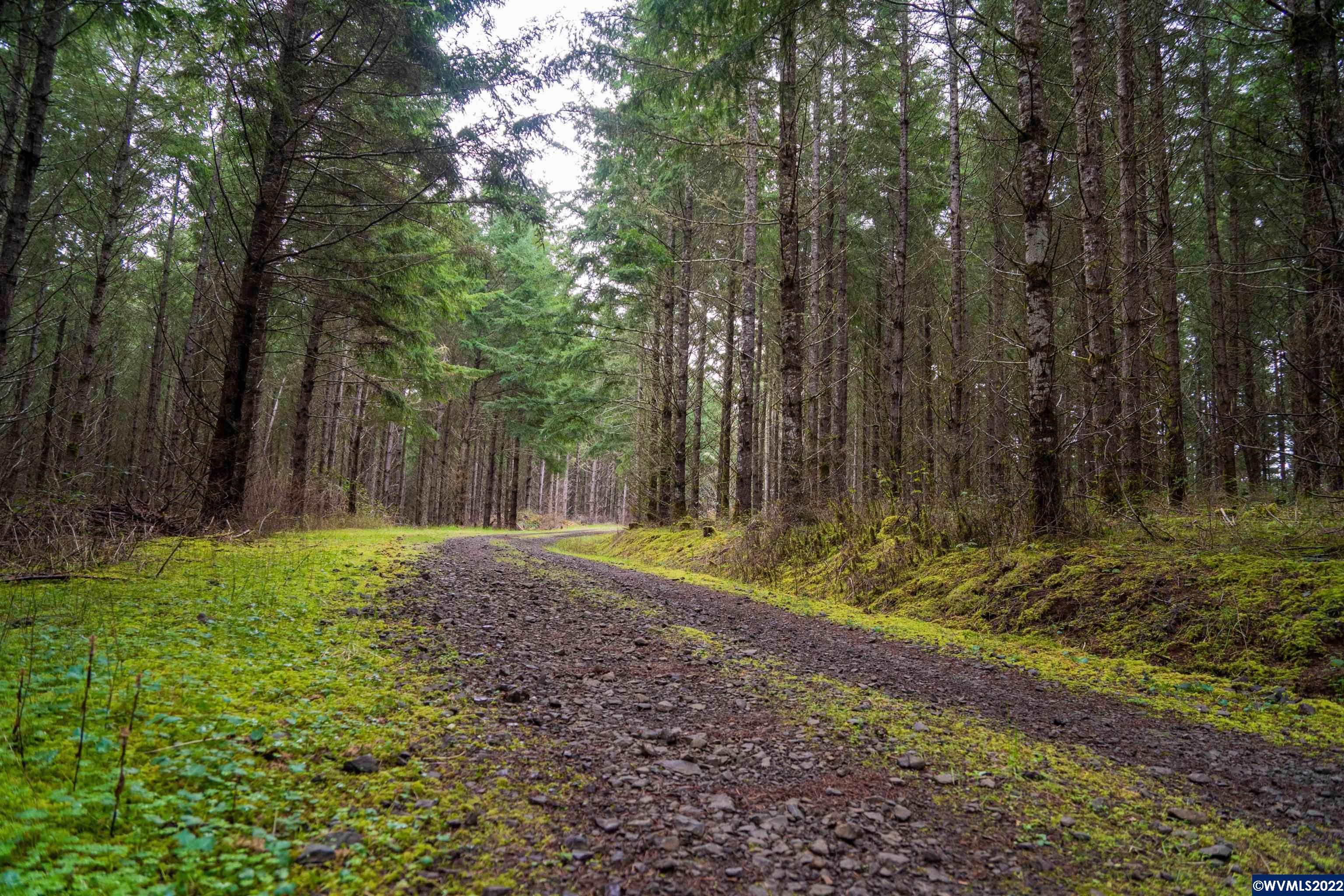 Na Foster Road Monroe, OR 97456 - Photo 6 of 32 Gallery Image 6