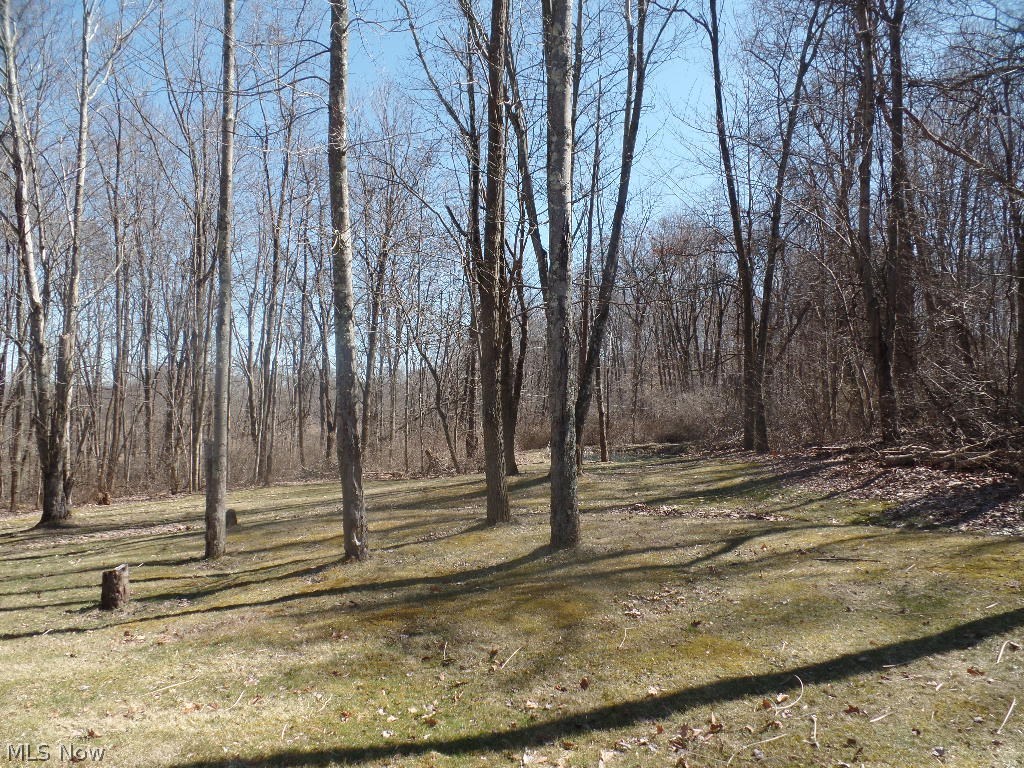 8342 Mulberry Road Mount Perry, OH 43760 - Photo 15 of 24 Gallery Image 15