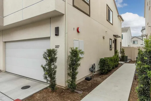a potted plant sitting in front of a building