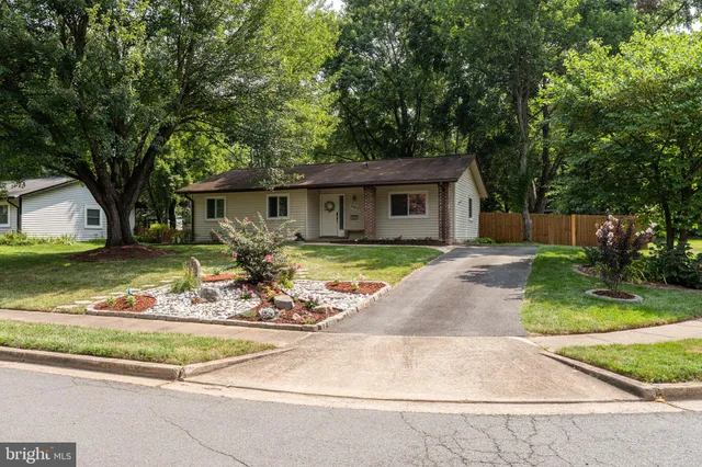 a view of a house with a backyard and a tree
