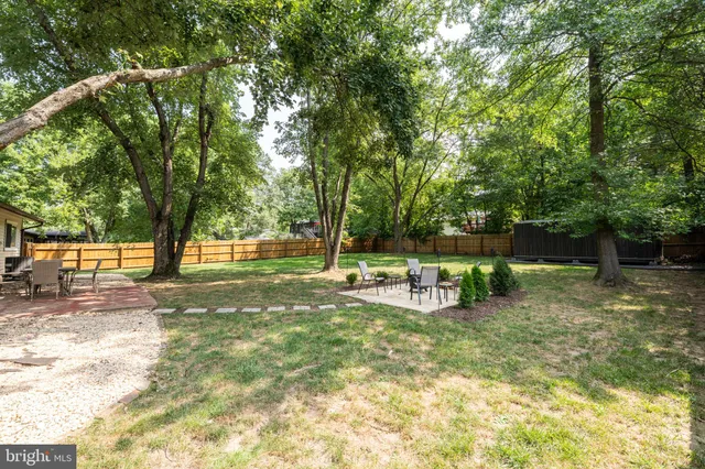 a view of a park with large trees