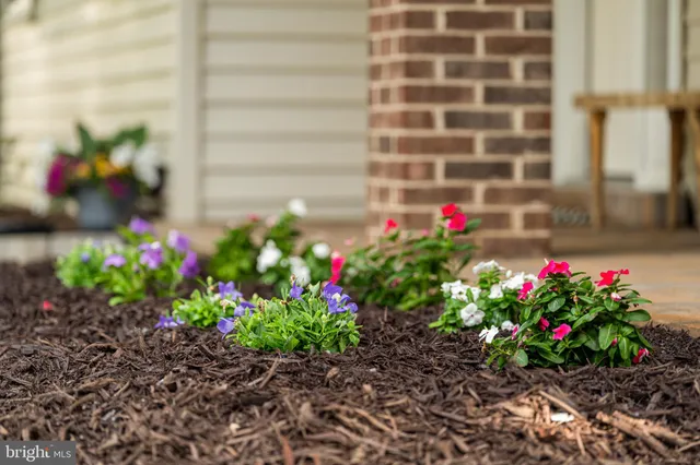 a view of a flower in a garden