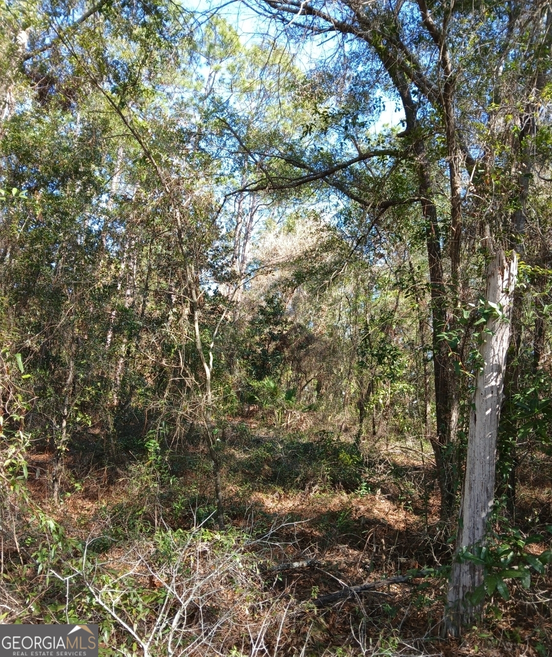 4 Kelly Road Folkston, GA 31537 - Photo 11 of 12