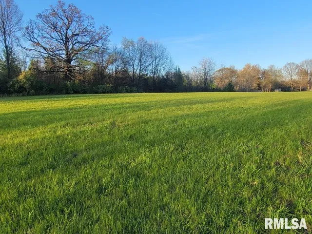 a view of a field with trees in the background