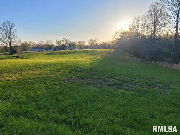a view of a field with an ocean
