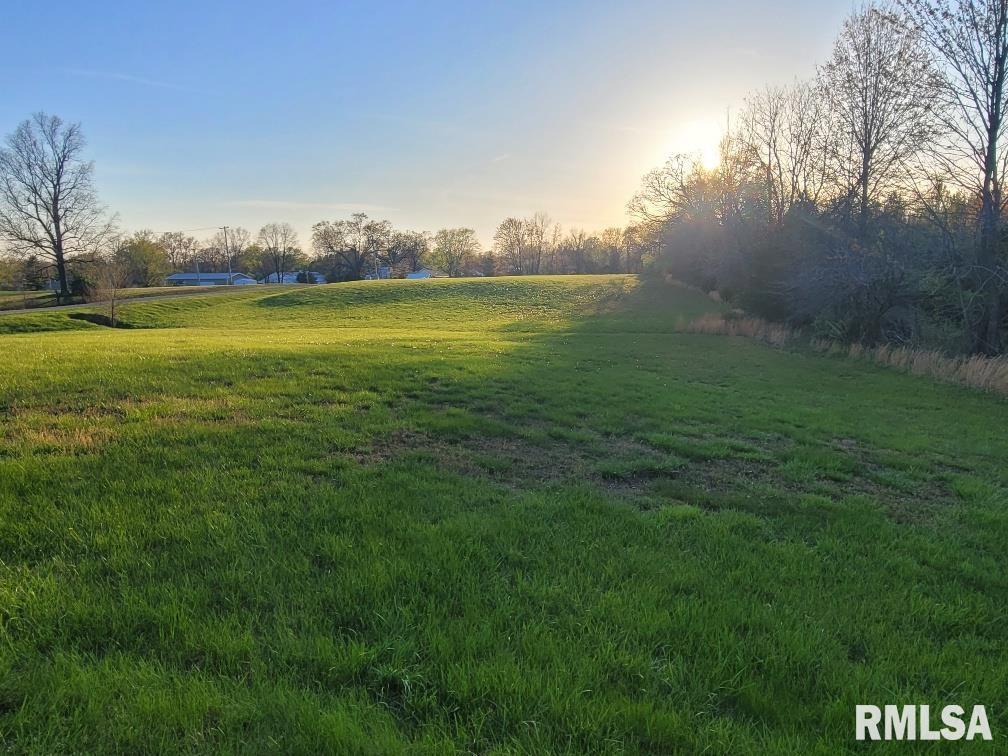 0 East Maple Street McLeansboro, IL 62859 - Photo 3 of 6