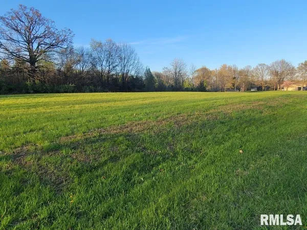 a view of a field with grass and trees