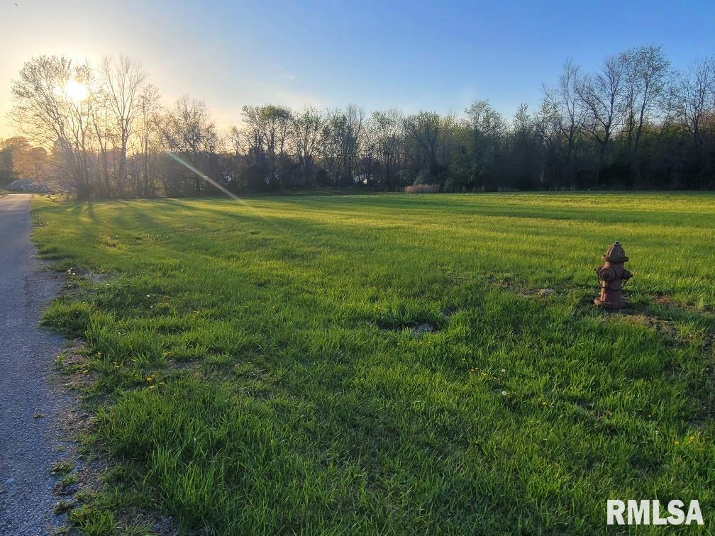 0 East Maple Street McLeansboro, IL 62859 - Photo 6 of 6