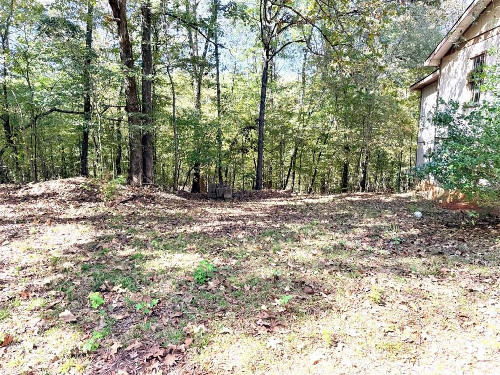 0 Towaliga South Road Jackson, GA 30233 - Photo 16 of 16